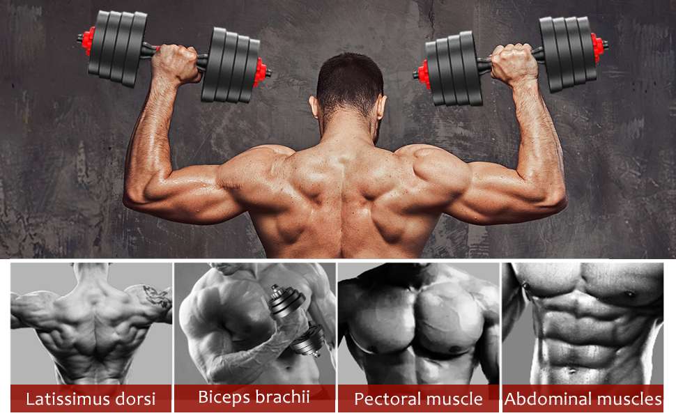 Mancuernas de 20 kg - PowerSet 20