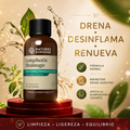 Lymphatic Drainage - NATURE SUNSHINE